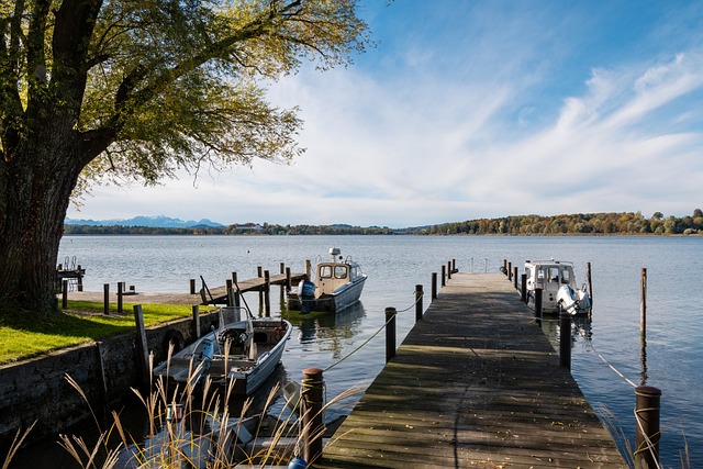 香波特提到 香波特提到