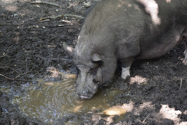 倾向于内切 倾向于内切